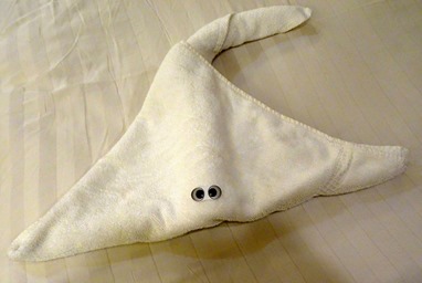 015.  On Veendam 7-13-2014