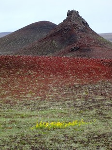 021.  Akureyri 7-22-2014