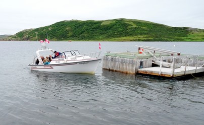 025. Red Bank, Labrador 2-16-2014