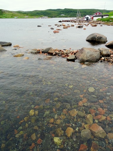 034. Red Bank, Labrador 2-16-2014