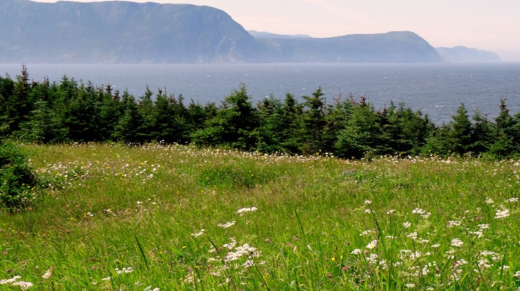 035.  Corner Brook, Newfoundland (Grand Morne Park) 7-15-2014035.  Corner Brook, Newfoundland 7-15-2014
