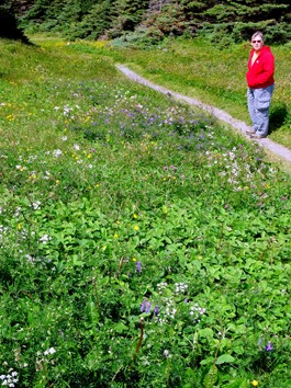 045.  Corner Brook, Newfoundland (Grand Morne Park) 7-15-2014045.  Corner Brook, Newfoundland 7-15-2014