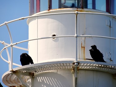 046.  Corner Brook, Newfoundland (Grand Morne Park) 7-15-2014046.  Corner Brook, Newfoundland 7-15-2014