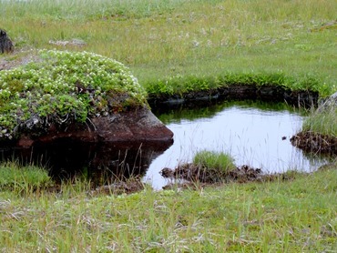 049. Red Bank, Labrador 2-16-2014