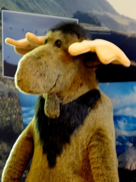 066.  Corner Brook, Newfoundland (Grand Morne Park) 7-15-2014066.  Corner Brook, Newfoundland 7-15-2014