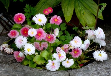 071.  Isafjordur 7-21-2014