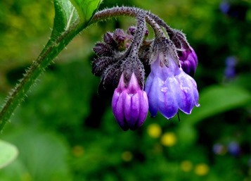 078.  Isafjordur 7-21-2014