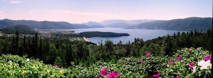 085.  Corner Brook, Newfoundland (Grand Morne Park) 7-15-2014085.  Corner Brook, Newfoundland 7-15-2014