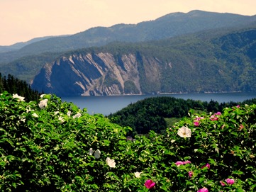 086.  Corner Brook, Newfoundland (Grand Morne Park) 7-15-2014086.  Corner Brook, Newfoundland 7-15-2014