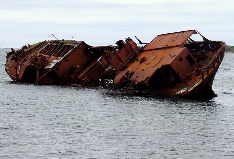 088. Red Bank, Labrador 2-16-2014