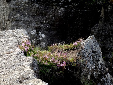 089.  Akureyri 7-22-2014