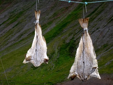 089.  Isafjordur 7-21-2014