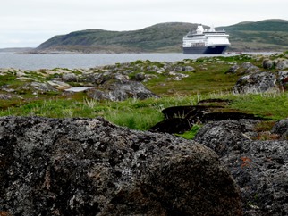 096. Red Bank, Labrador 2-16-2014