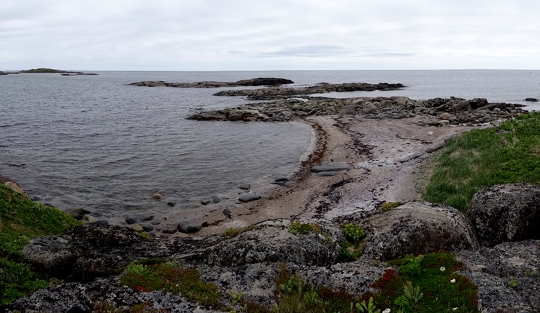 097. Red Bank, Labrador 2-16-2014