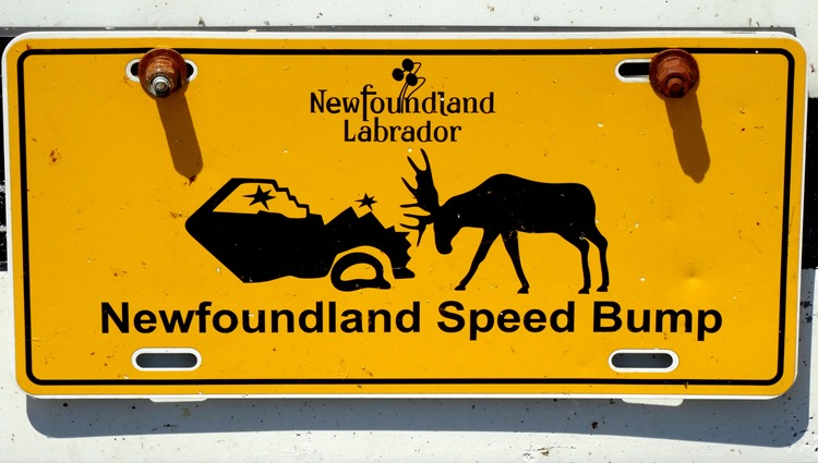 099.  Corner Brook, Newfoundland (Grand Morne Park) 7-15-2014099.  Corner Brook, Newfoundland 7-15-2014