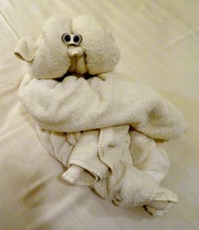 1.  Towel Animal