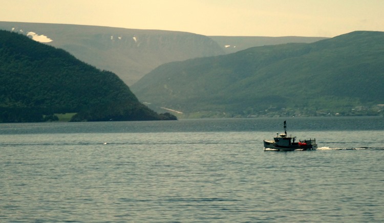 101.  Corner Brook, Newfoundland (Grand Morne Park) 7-15-2014101.  Corner Brook, Newfoundland 7-15-2014