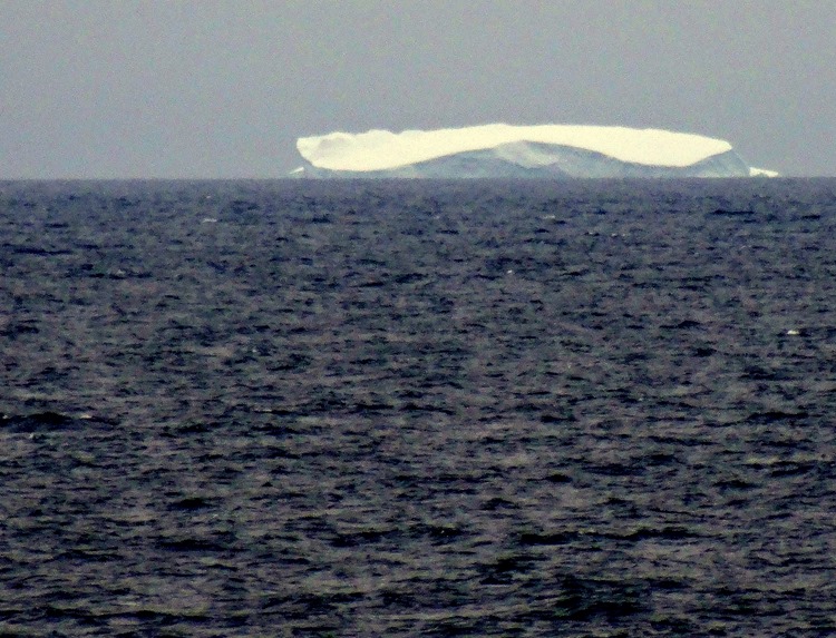 110. Red Bank, Labrador 2-16-2014