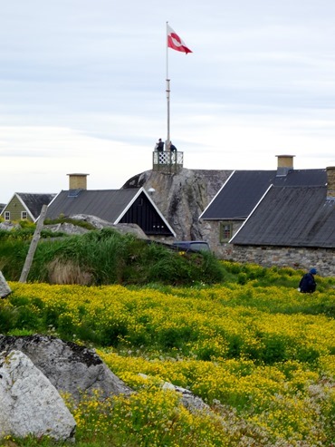 113.  Nanortalik, Greenland 7-19-2014