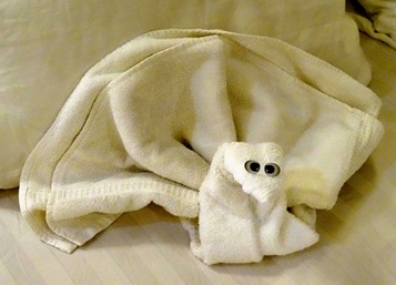 157.  Corner Brook, Newfoundland (Dock & Veendam) 7-15-2014157.  Corner Brook, Newfoundland (Grand Morne Park) 7-15-2014157.  Corner Brook, Newfoundland 7-15-2014