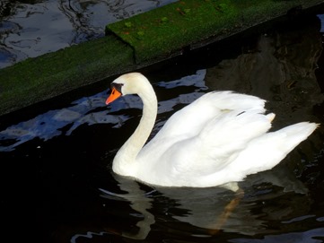 001.  Amsterdam, Netherlands, Day 2