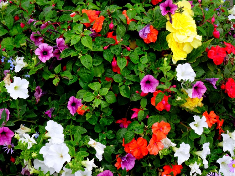 010.  Invergorden, Scotland