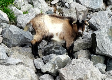 051. Stavanger, Norway