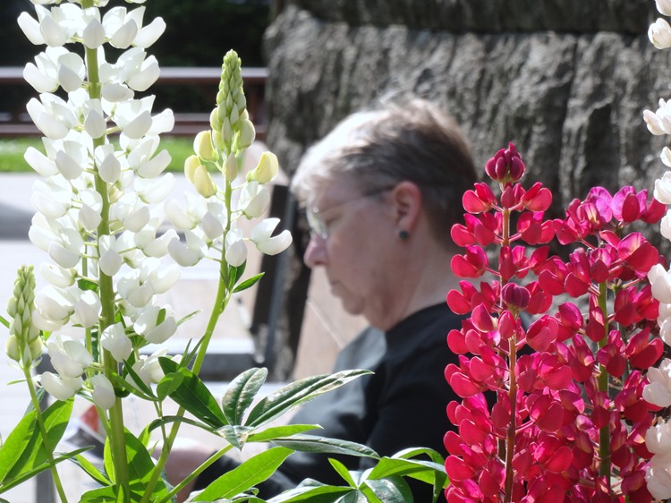 053.  Torshaven, Faroe Islands