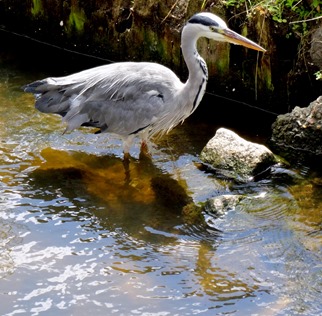 066.  Amsterdam, Netherlands, Day 2