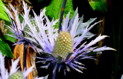 076.  Invergorden, Scotland