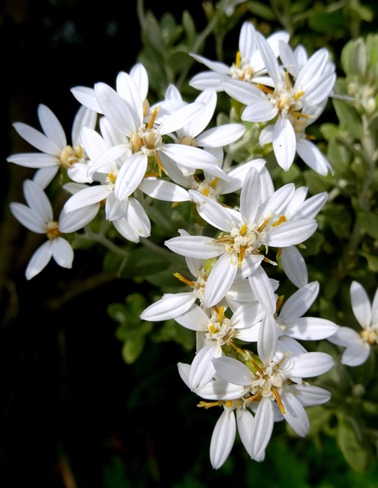 084.  Torshaven, Faroe Islands