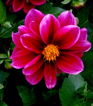 101.  Invergorden, Scotland