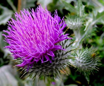 102.  Invergorden, Scotland