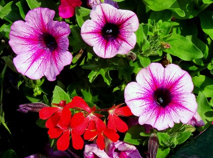 104.  Amsterdam, Netherlands, Day 1