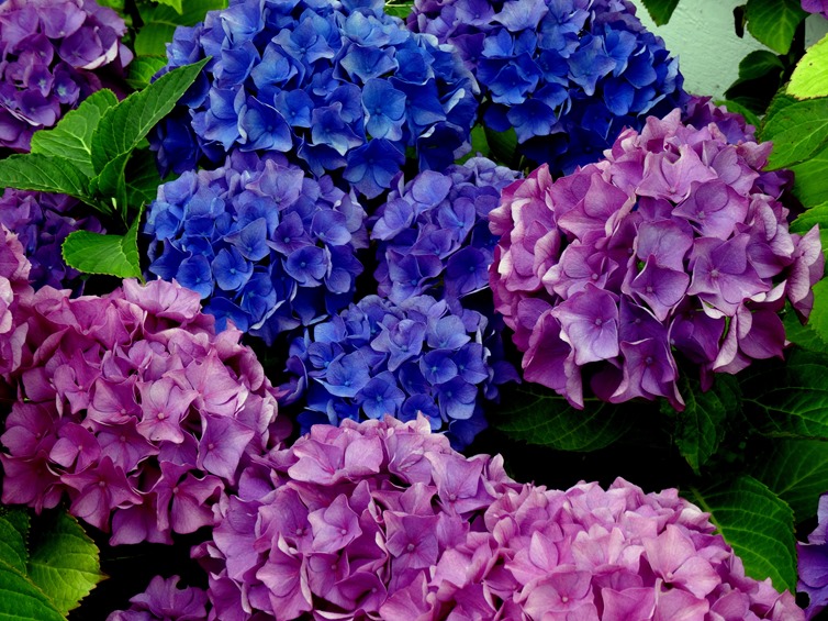 105. Stavanger, Norway