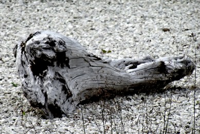 106.  Seydisfjordur 7-23-14