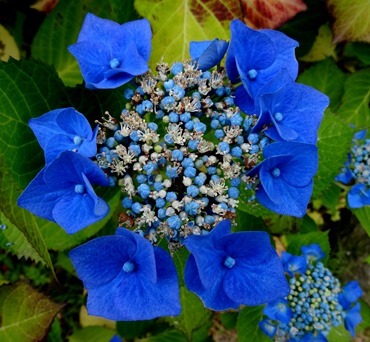 106. Stavanger, Norway