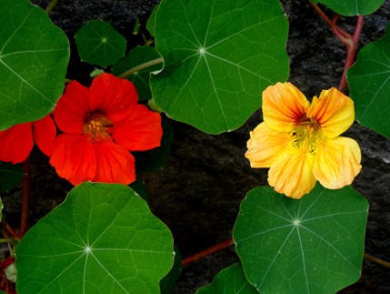 109. Stavanger, Norway