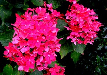 32. Amsterdam, Netherlands, Day 1