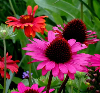 95. Amsterdam, Netherlands, Day 1