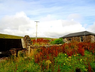 002.  Lerwick, Shetland Islands