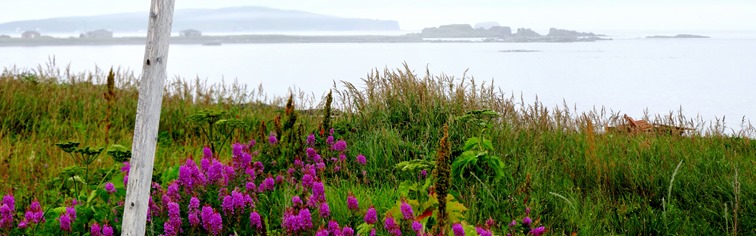 010. St. Andrews, Newfoundland