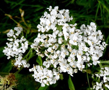 012.  Lerwick, Shetland Islands