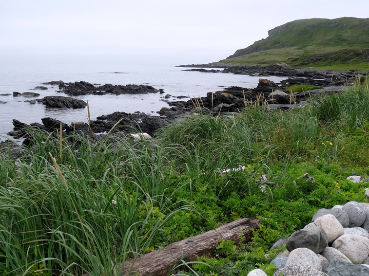 021. St. Andrews, Newfoundland