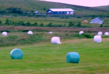 026. Reykjavik, Iceland (Day 1)