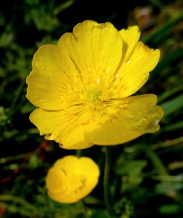 027.  Lerwick, Shetland Islands