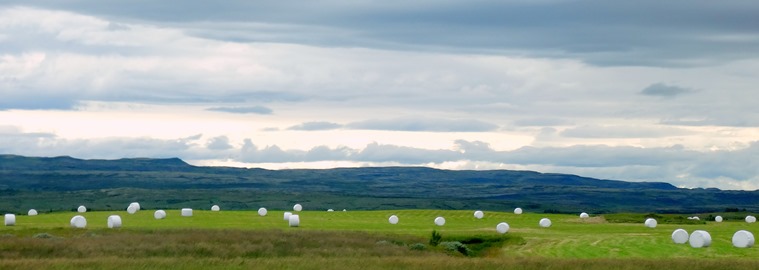 045. Reykjavik, Iceland (Day 1)