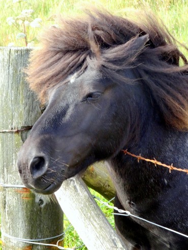 047.  Lerwick, Shetland Islands