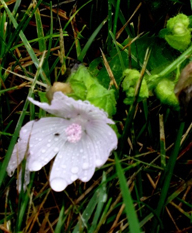 051. St Johns, Newfoundland