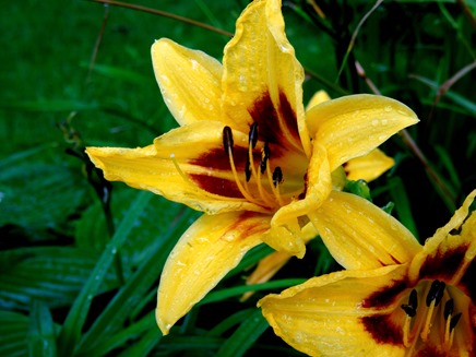 054. St Johns, Newfoundland